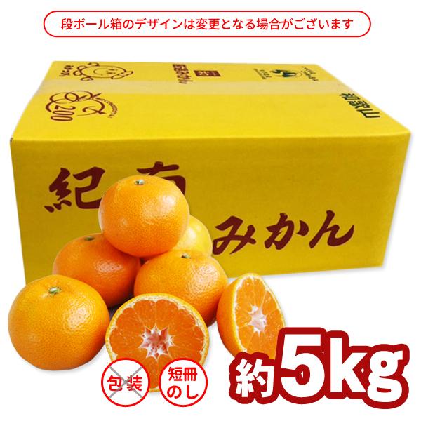 JA紀南 みかん 木熟みかん Mサイズ 5kg×1箱 送料無料 お歳暮にも 