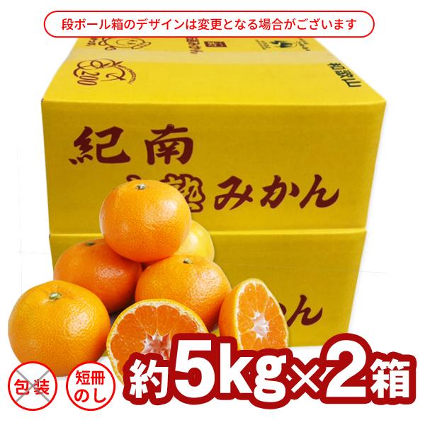 JA紀南 みかん 木熟みかん S〜Mサイズ 5kg×2箱 送料無料 お歳暮にも