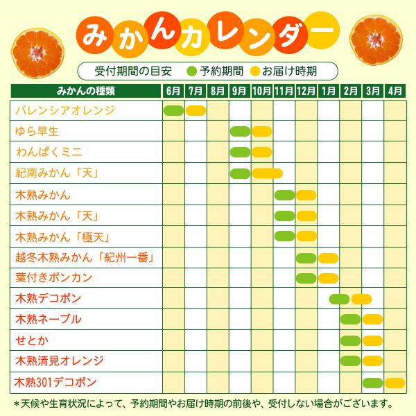 JA紀南 みかん 木熟みかん S〜Mサイズ 5kg×2箱 送料無料 お歳暮にも