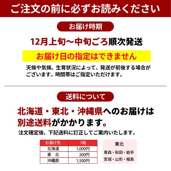 JA紀南 みかん 木熟みかん S〜Mサイズ 10kg×1箱 送料無料 お歳暮にも