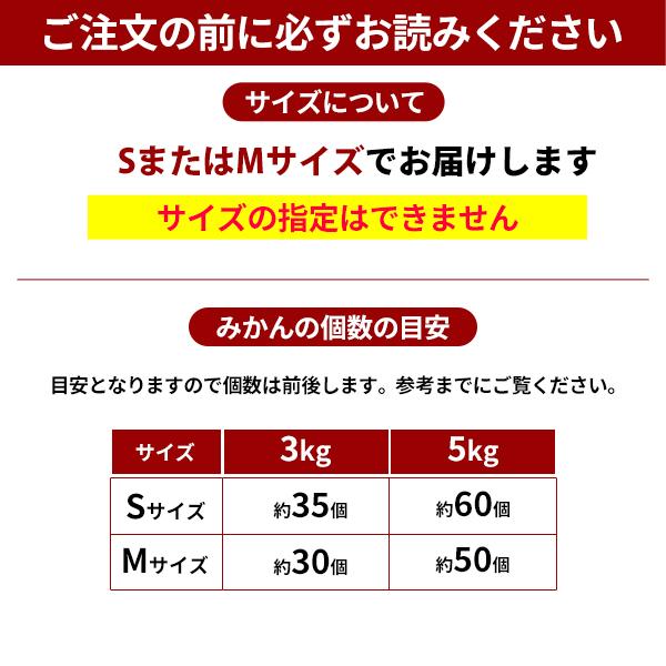 JA紀南 みかん 木熟みかん S〜Mサイズ 10kg×1箱 送料無料 お歳暮にも