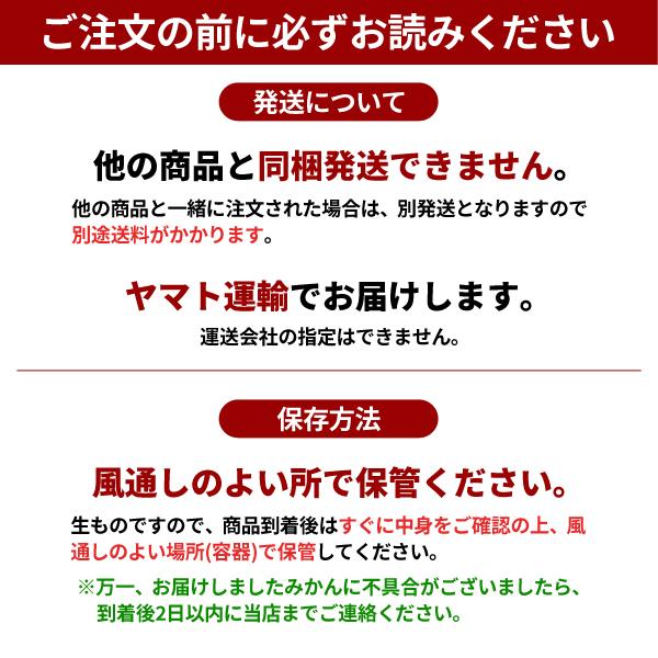 JA紀南 みかん 木熟みかん S〜Mサイズ 10kg×1箱 送料無料 お歳暮にも