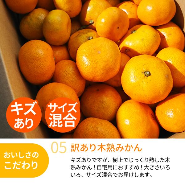 JA紀南 みかん わけあり 木熟みかん キズありL〜2Sサイズ混合 5kg×1
