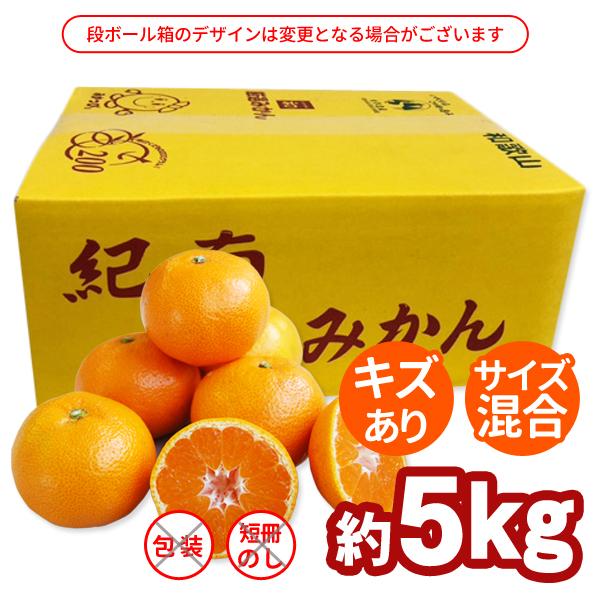 JA紀南 みかん わけあり 木熟みかん キズありL〜2Sサイズ混合 5kg×1