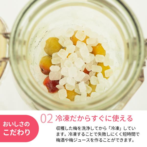 氷梅 黄色め冷凍南高梅 梅酒用・梅ジュース・梅ジャム用 500g 和歌山県