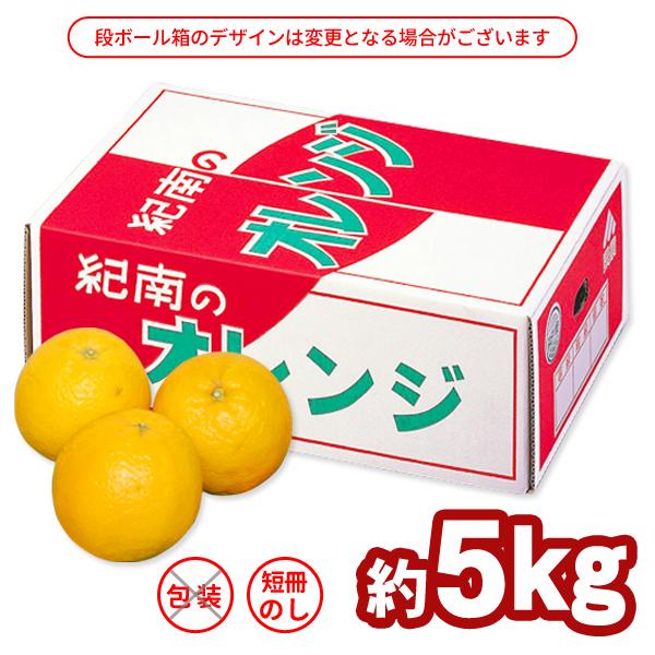 処分価格和漢彩染 BB7 イエローサルタンオレンジ　グリーンシャワー25個セット 和歌山県産 バレンシアオレンジ Lサイズ 36玉 約5kg×1箱 ☆希少な国産