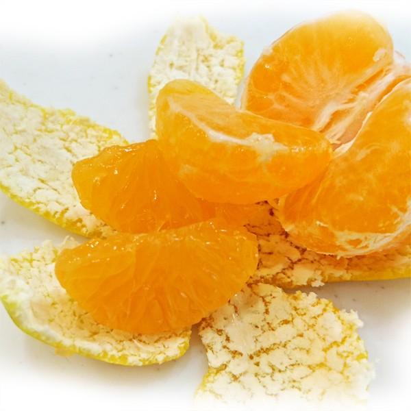 送料無料 紀南みかん わんぱくミニ 5kg 1箱 一口サイズかわいいみかん 小玉 光センサー 早生みかん プレゼント ギフト お歳暮 御歳暮 M Wm 1 紀州梅干し みかんのja紀南 通販 Yahoo ショッピング