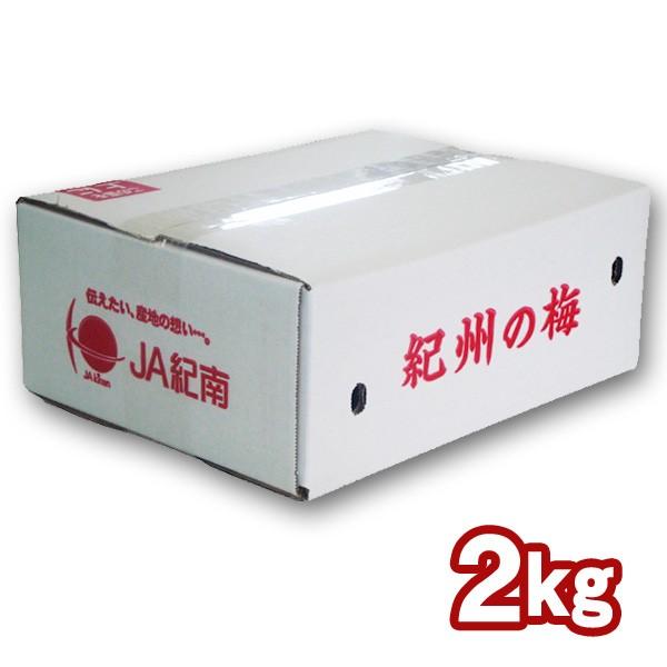 ※販売数量調整中※送料無料 梅干し用　紀州産南高梅 2Lサイズ  約2kg  インターネット限定｜ja-kinan｜02