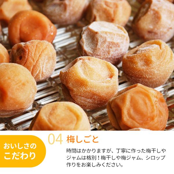 JA紀南 送料無料 ＜遅め発送＞紀州産南高梅 2Lサイズ 約10kg 1箱