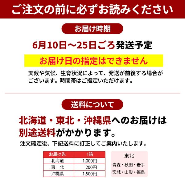 JA紀南 送料無料 ＜遅め発送＞紀州産南高梅 2Lサイズ 約10kg 1箱