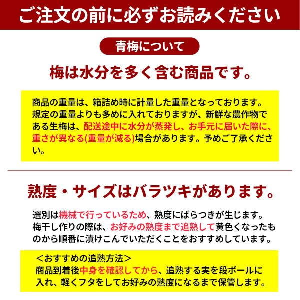 JA紀南 送料無料 ＜遅め発送＞紀州産南高梅 2Lサイズ 約10kg 1箱