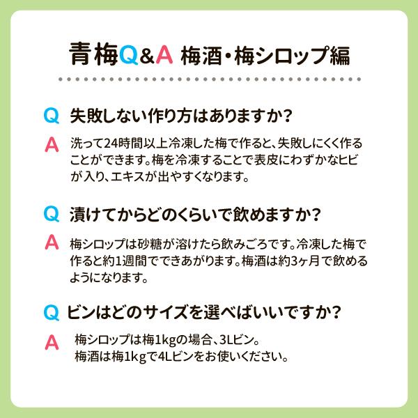 JA紀南 送料無料 梅酒用・梅ジュース用 紀州産パープルクィーン(小梅