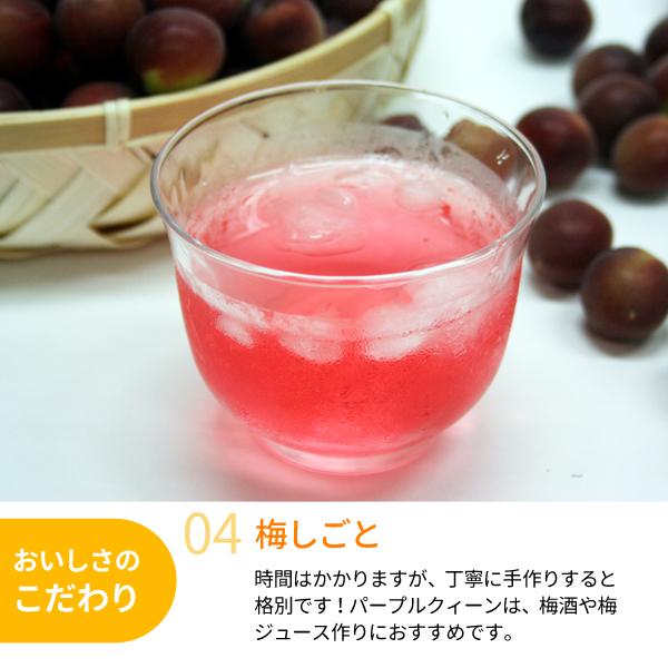 JA紀南 送料無料 梅酒用・梅ジュース用 紀州産パープルクィーン(小梅
