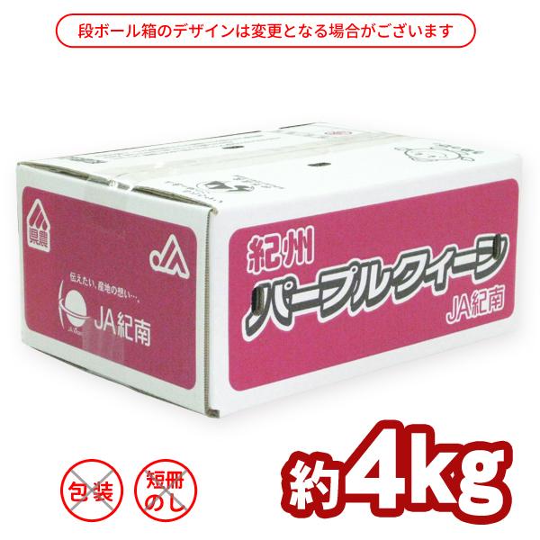 JA紀南 送料無料 梅酒用・梅ジュース用 紀州産パープルクィーン(小梅