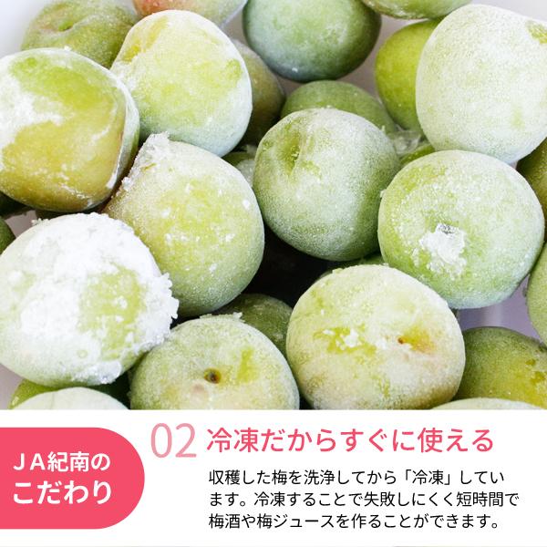 氷梅 冷凍南高梅 梅酒用・梅ジュース用  500g 和歌山県紀州産青梅　冷凍梅　紀州南高梅 |  | 02