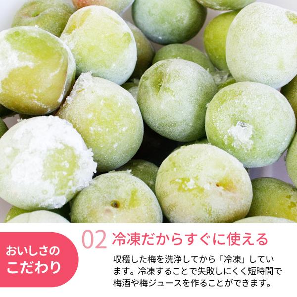 氷梅 冷凍南高梅 梅酒用・梅ジュース用 500g 和歌山県紀州産青梅 冷凍