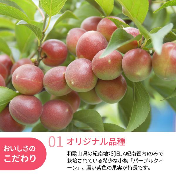 氷梅 冷凍パープルクィーン 梅酒・梅ジュース用 400g 〜冷凍梅 紀州産