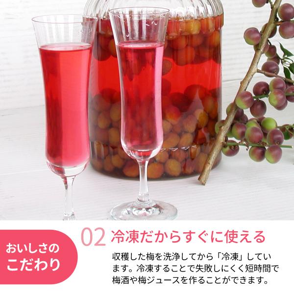 0701❄️クール便「冷凍紫小梅」5kg 青梅系　梅酒　シロップ用(梅干し不可) 氷梅 冷凍パープルクィーン 梅酒・梅ジュース用 400g 〜冷凍梅 紀州産