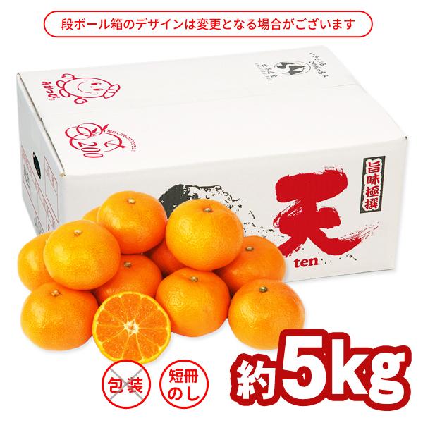 送料無料 旨味極撰 紀南みかん「天」Mサイズ 5kg×1箱 〜ブランド早生