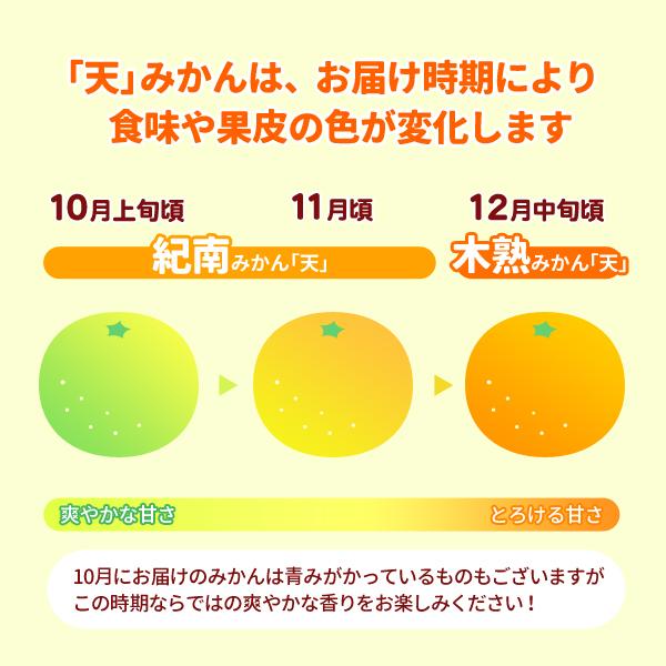 送料無料 旨味極撰 紀南みかん「天」Mサイズ 5kg×1箱 〜ブランド早生