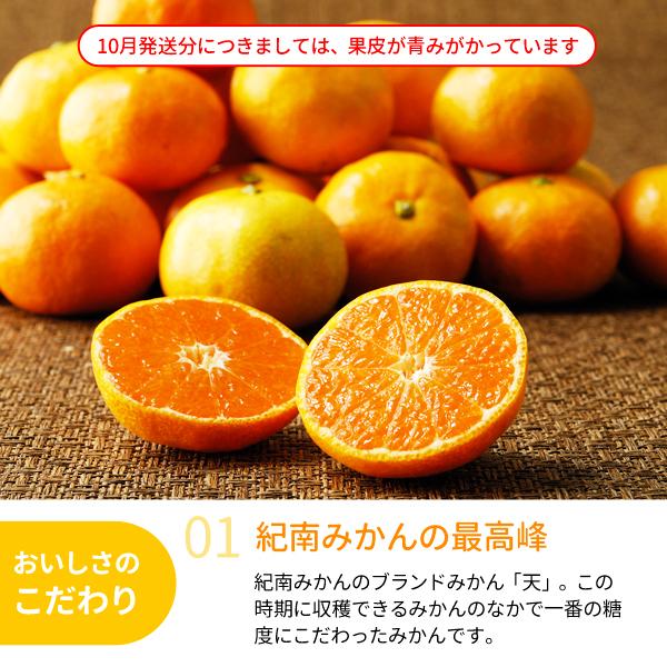 送料無料 旨味極撰 紀南みかん「天」Sサイズ 5kg×1箱 〜ブランド早生