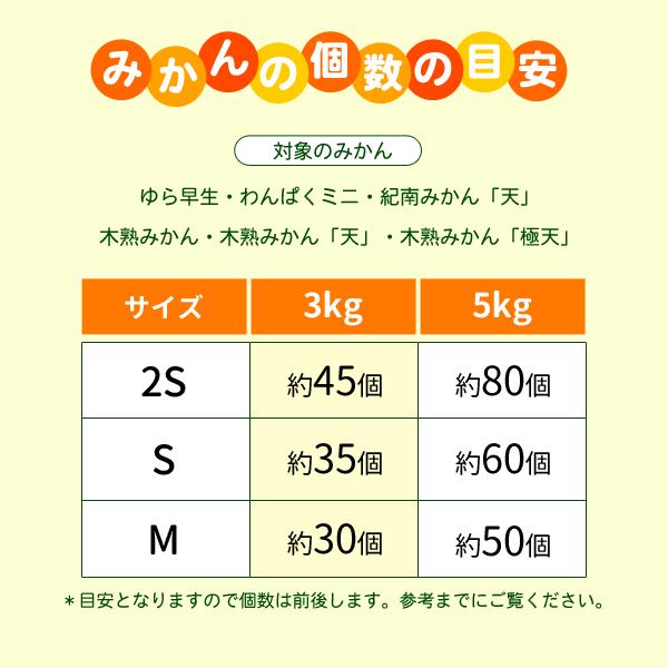 送料無料 旨味極撰 紀南みかん「天」Sサイズ 5kg×1箱 〜ブランド早生