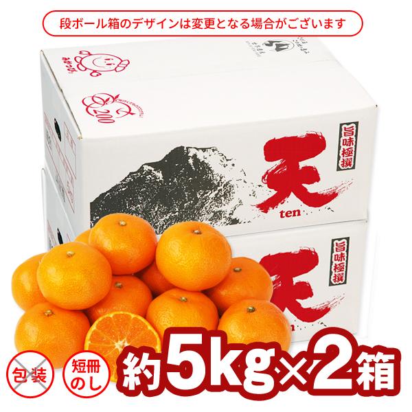 送料無料 旨味極撰 紀南みかん「天」Sサイズ 5kg×2箱 合計10kg