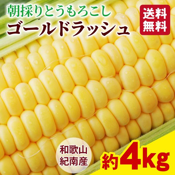 最大85 Offクーポン トウモロコシ 和歌山県とんだ産 朝採りとうもろこし ゴールドラッシュ 約4kg 10 12本 1箱 送料無料 プレゼント ギフト 生で食べられる甘い玉蜀黍 Columbiatools Com