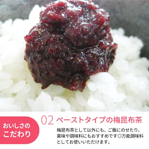 JA紀南 紀州梅昆布茶 200g 梅肉 ねり梅 紀州南高梅 梅こぶ茶 お茶
