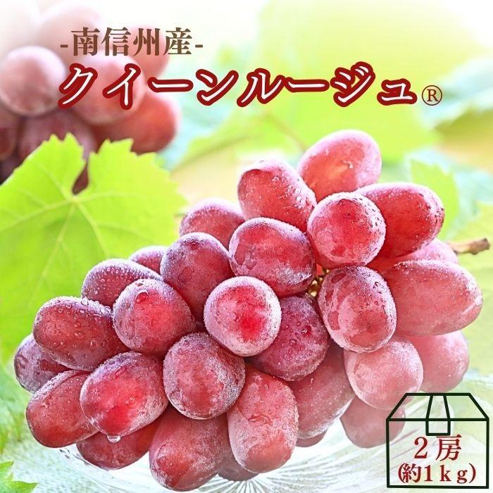 1キロ越えのクイーンルージュ ぶどう クイーンルージュ 約1kg(2房) Y020（冷蔵）※9月下旬〜発送