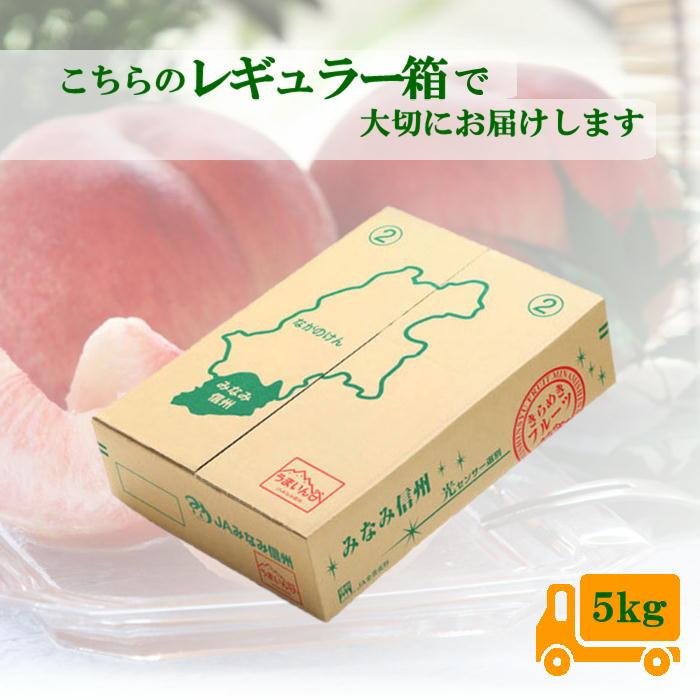 桃 あかつき【 家庭用 / 優糖生 】約 5kg 12〜18玉 Y104 （冷蔵）※7月