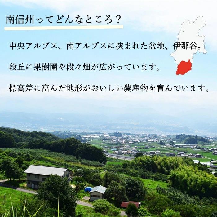 桃 あかつき【 家庭用 / 優糖生 】約 5kg 12〜18玉 Y104 （冷蔵）※7月