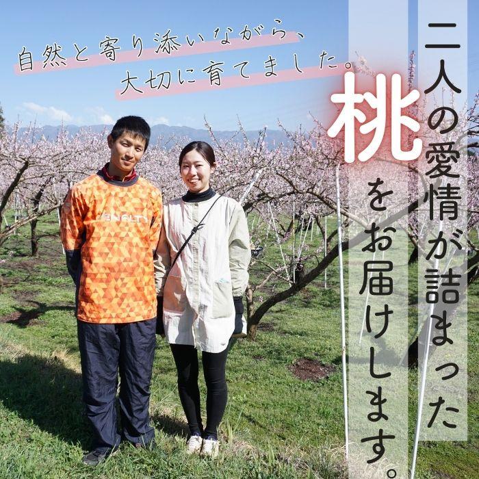 桃 あかつき【 家庭用 / 優糖生 】約 5kg 12〜18玉 Y104 （冷蔵）※7月