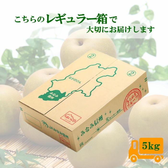 梨 幸水【太鼓判】約5kg(12〜16玉) Y213 ※8月下旬〜発送予定 なし ナシ