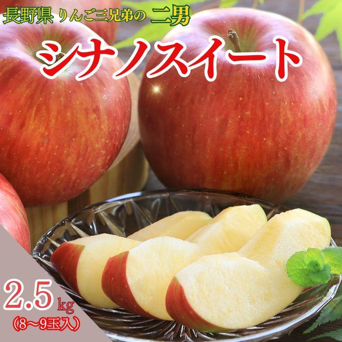 りんご シナノスイート 【秀品】約2.5kg(8〜9玉) Y311※10月中旬〜発送