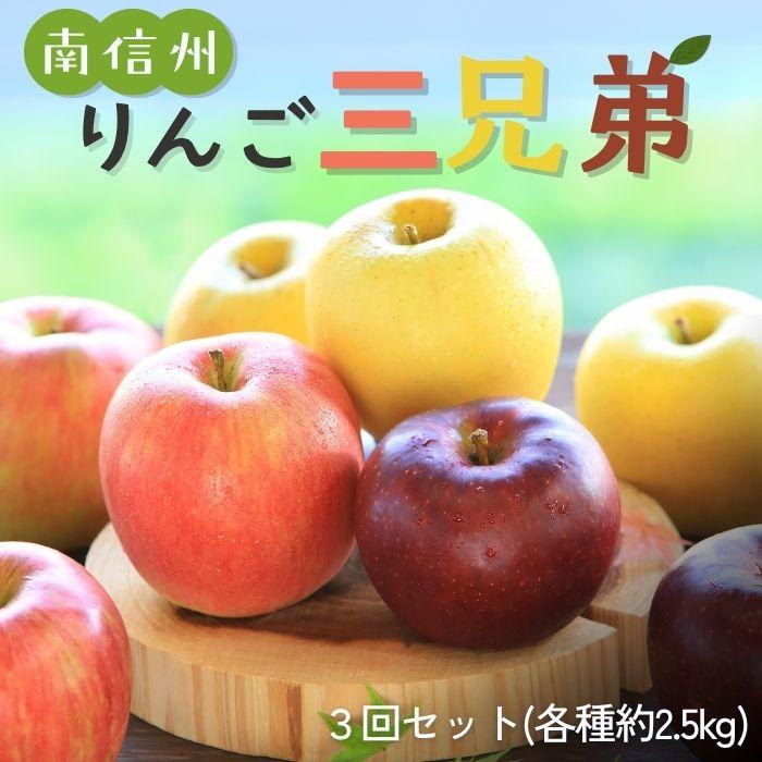 長野県 南信州 りんご三兄弟 3回セット 各品種 中玉 約2.5kg(8〜9玉