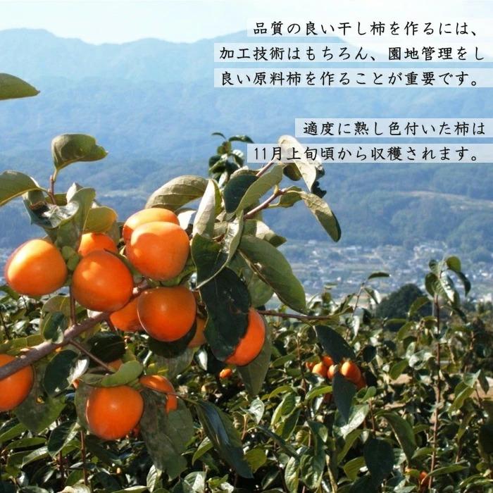 干し柿 市田柿 訳あり バラふぞろい 5kg (1kg箱×5箱 ) Y415 : JA
