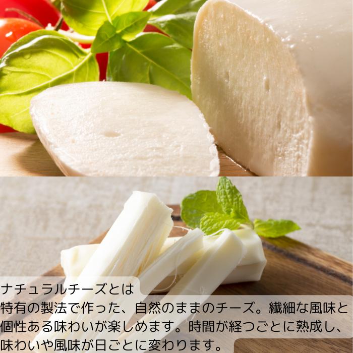 送料無料 さけるチーズ モッツァレラチーズ 手づくりチーズ セット