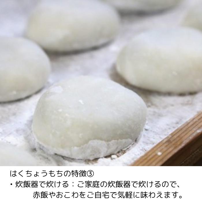 はくちょうもち 新米 令和7年産 送料無料 精米 もち米 北海道産 3kg