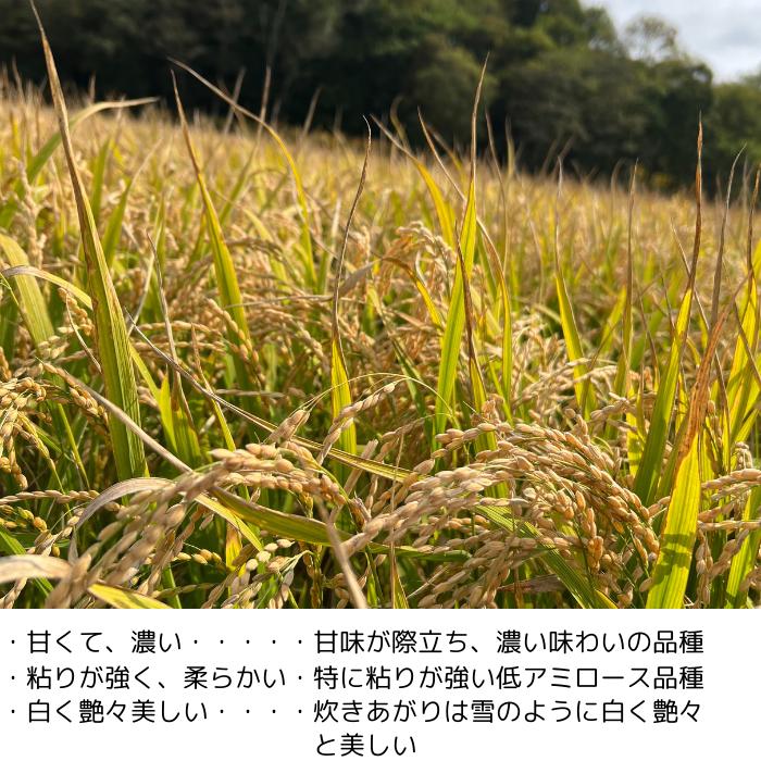 令和6年産 送料無料 米 白米 精米 ゆきさやか 5kg 幻のお米 希 令和6年産 送料無料 米 白米 精米 ゆきさやか 5kg 幻のお米 希