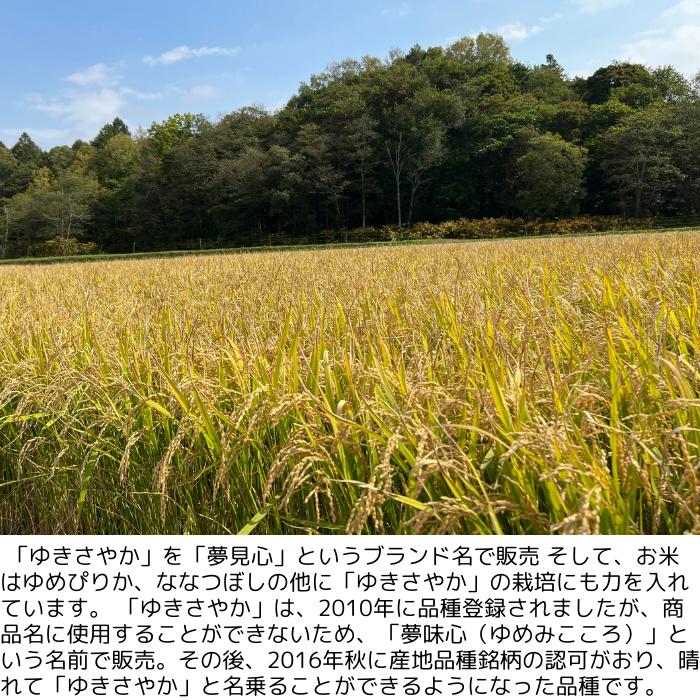 令和7年産 ゆきさやか 5kg 幻のお米 北海道 小平町産 希少銘柄 お米