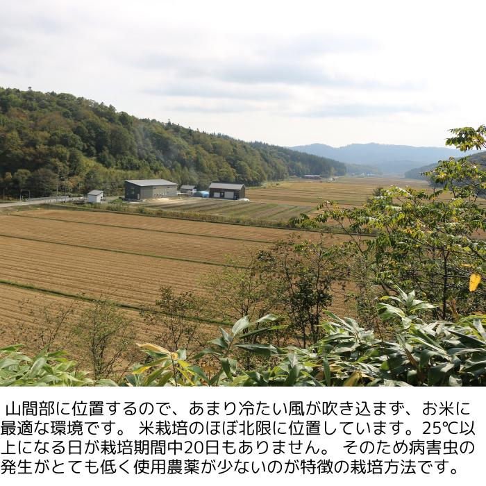 令和7年産 ゆきさやか 5kg 幻のお米 北海道 小平町産 希少銘柄 お米
