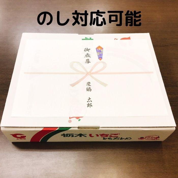 イチゴ いちご 苺 とちあいか 2パック 栃木県産 規格 6〜7粒 1粒