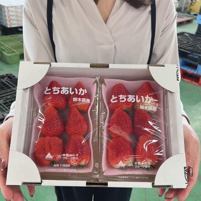 イチゴ いちご とちあいか 2パック 栃木県産 SD SG 規格 6〜7粒 1粒40g前後 1パック290g前後 送料無料 熨斗対応 冷蔵便 【JAあいか2P】 : aika2p : JA佐野 - 通販 - Yahoo!ショッピング イチゴ いちご とちあいか 2パック 栃木県産 SD SG 規格 6〜7粒 1粒40g前後 1パック290g前後 送料無料 熨斗対応 冷蔵便 【JAあいか2P】 : aika2p : JA佐野 - 通販 - Yahoo!ショッピング