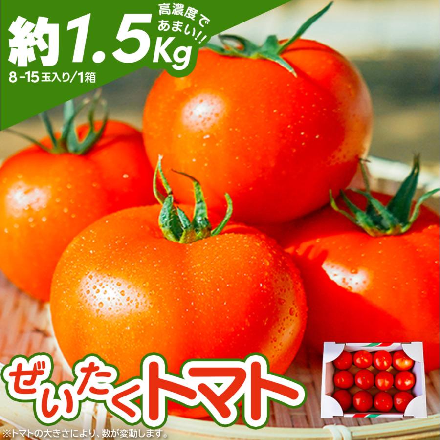 新鮮 ぜいたくトマト 約1.5kg 8~15玉入り フルーツトマト系 配送日指定