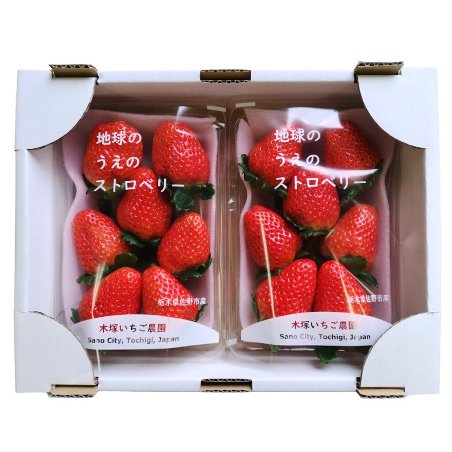 スカイベリー 1パック280g 合計560g パックあたり6〜11粒 栃木県産
