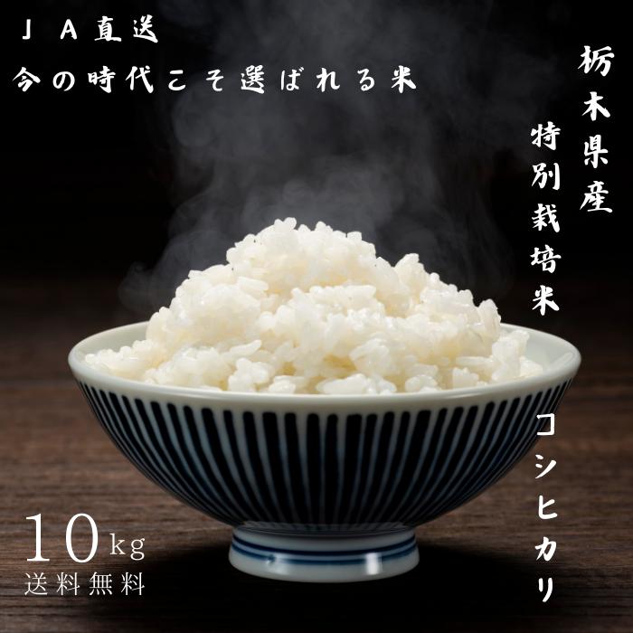 特別栽培米 注文後精米 令和6年産 栃木県産 コシヒカリ 10kg 特別栽培米 注文後精米 令和6年産 栃木県産 コシヒカリ 10kg