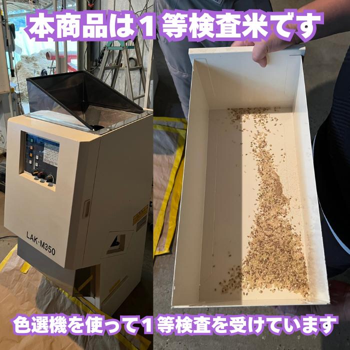 特別栽培米 注文後精米 令和6年産 栃木県産 コシヒカリ 10kg 特別栽培米 注文後精米 令和6年産 栃木県産 コシヒカリ 10kg
