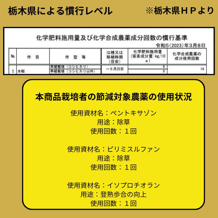 特別栽培米 注文後精米 令和6年産 栃木県産 コシヒカリ 10kg 特別栽培米 注文後精米 令和6年産 栃木県産 コシヒカリ 10kg