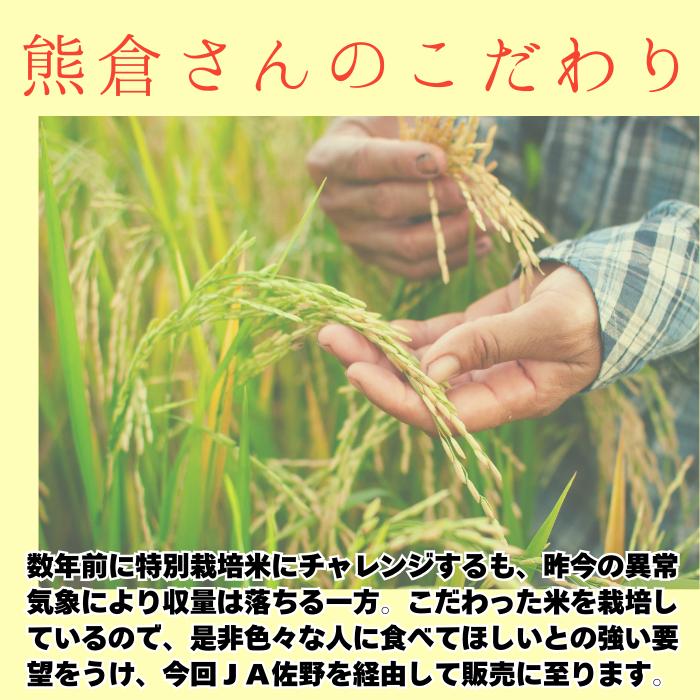 特別栽培米 注文後精米 令和6年産 栃木県産 コシヒカリ 10kg 特別栽培米 注文後精米 令和6年産 栃木県産 コシヒカリ 10kg